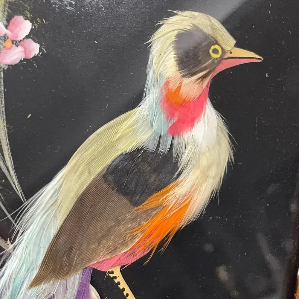 Vintage Mexican Feather Art Bird Hand Carved Wood Frame Folk Art Craft